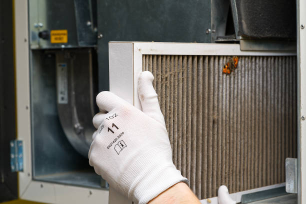 Air Duct Mold Removal in Stonebridge, NJ